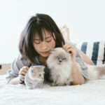 고양이 건강신호